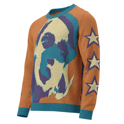 CZT FEMME Star Knitted Crew Neck Sweater